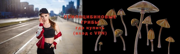 герыч Волоколамск