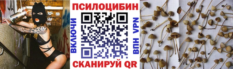 Галлюциногенные грибы Psilocybe  Каневская 