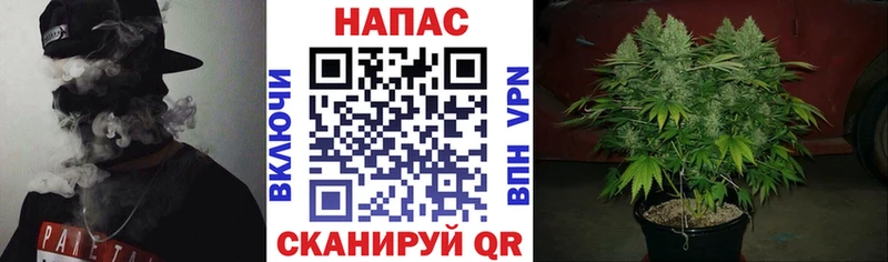 МАРИХУАНА Ganja  Каневская 